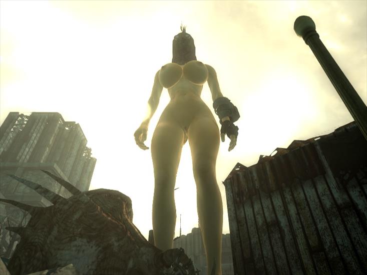 Fallout 3 - ScreenShot25.jpg