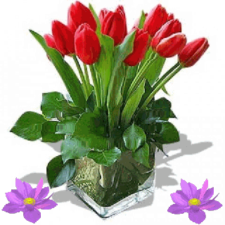 GIFY GIFKI GIFOWNIK    - tulipanki w wazonie.gif