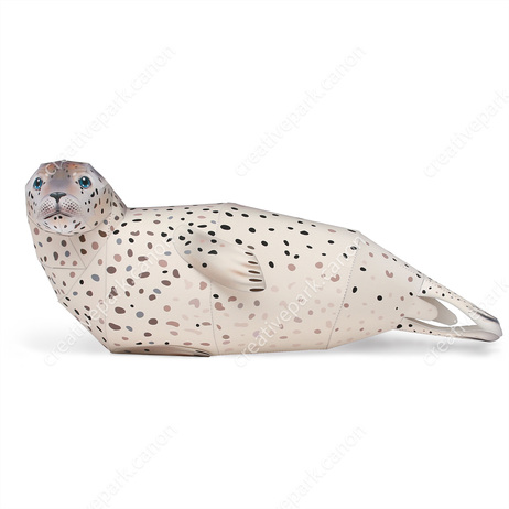 Marine Animals - Spotted Seal Male, Resting.jpg