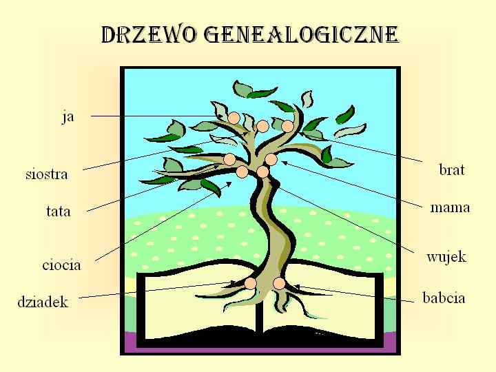 środowisko - schemat_drzewo_genealogiczne.jpg