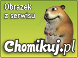  KOMINKI Z KAMIENIA - kominek.jpg