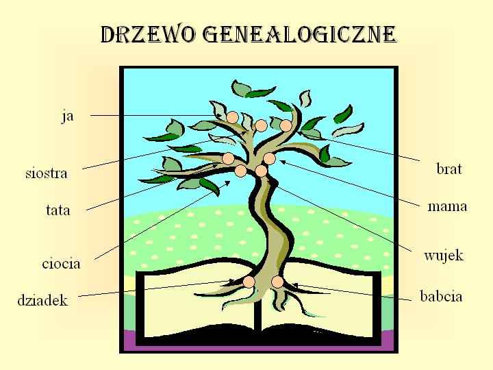 plansze dydaktyczne - schemat_drzewo_genealogiczne.jpg
