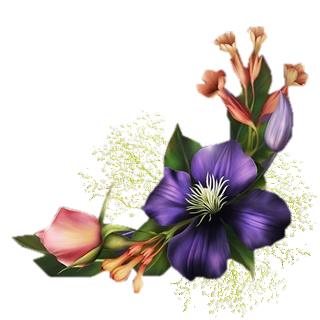 Kwiaty PNG - 120eceb5e4_105366941_o2.png