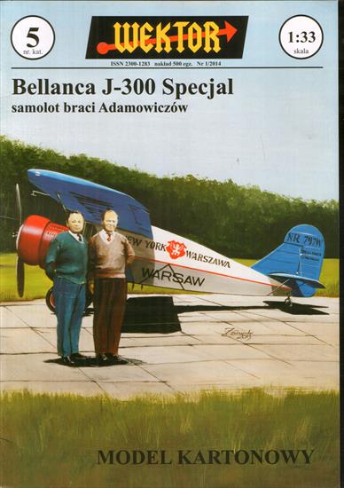 WEKTOR - Wektor 005 Bellanca J-300 Specjal 1-33.jpg